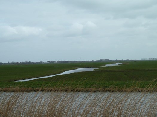 Mijzenpolder