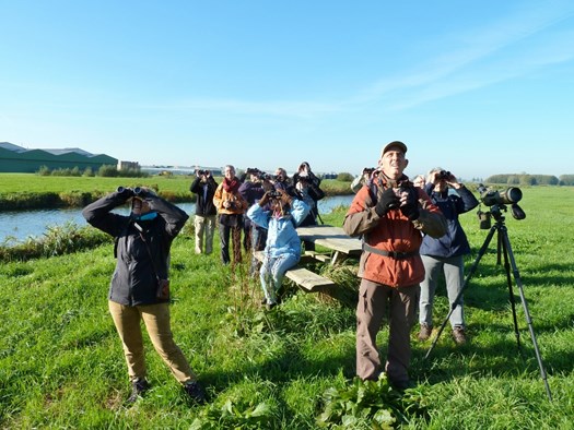 Vogels kijken