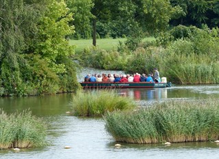 Fluistervaren - stap in De Wilskracht