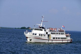 Stortemelk op Markermeer