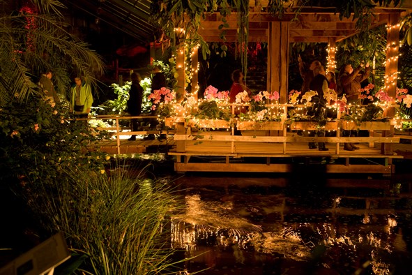 Kerst feest Orchideeen Hoeve..