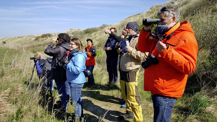 Texel Big Day