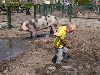 zomer op de boerderij (2)