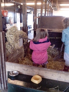 zomer op de boerderij 1