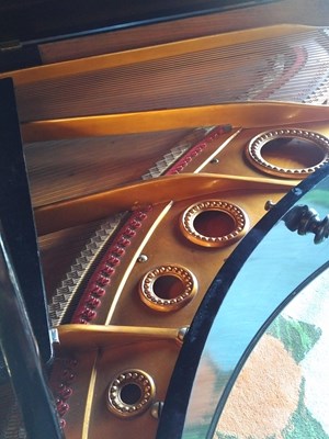 Bechstein -detail