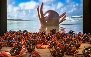 Nootmuskaat en foelie liggend.PERS Foto Westfries Museum-Benno Ellerbroek