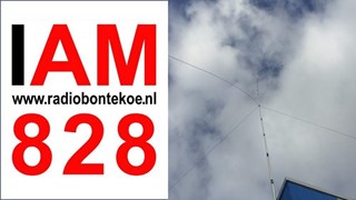 Zendantenne van Radio Bontekoe