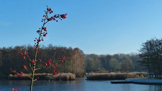 Streekplas 5-1-20