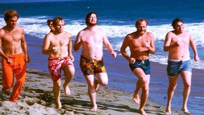 The Beach Boys in 1967