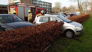 Betuurder parkeert in heg4