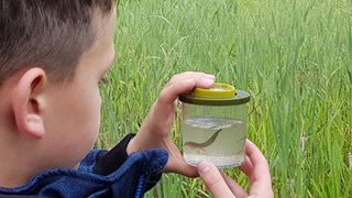 waterdiertjes.nl