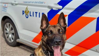 Politiehond Appie 