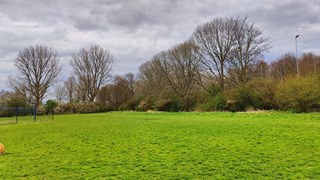 Bomen rugbyveld