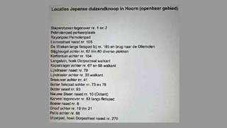 Locaties Japanse duizendknoop